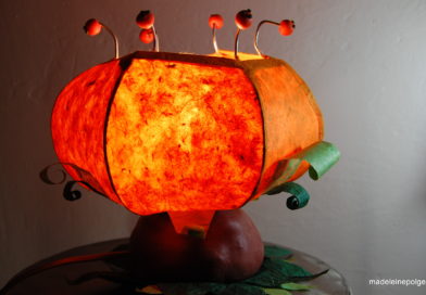 Automne en lumière